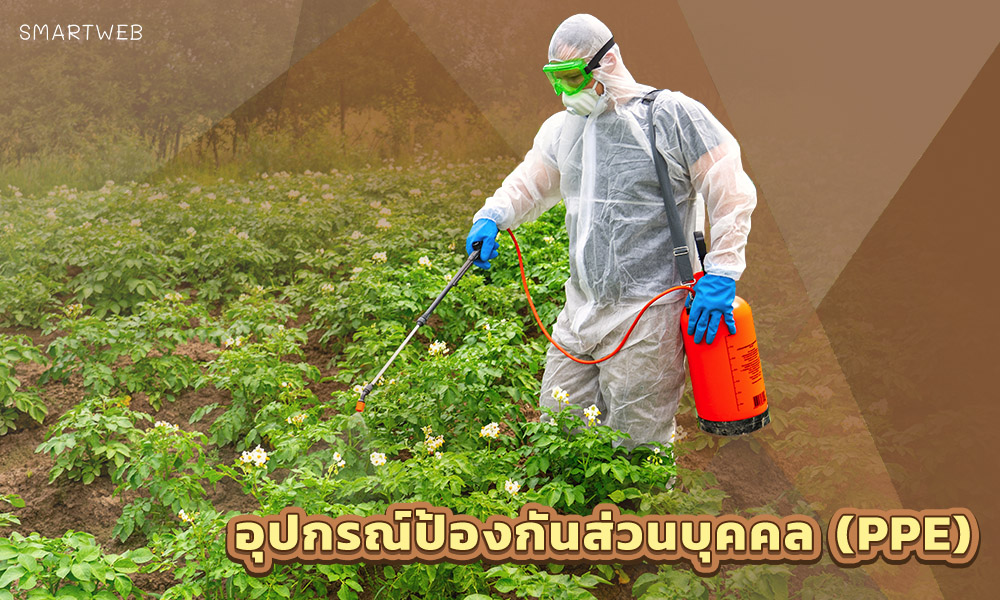 3.ความปลอดภัยในการทำงานกับสารฆ่าแมลง อุปกรณ์ป้องกันส่วนบุคคล (PPE)